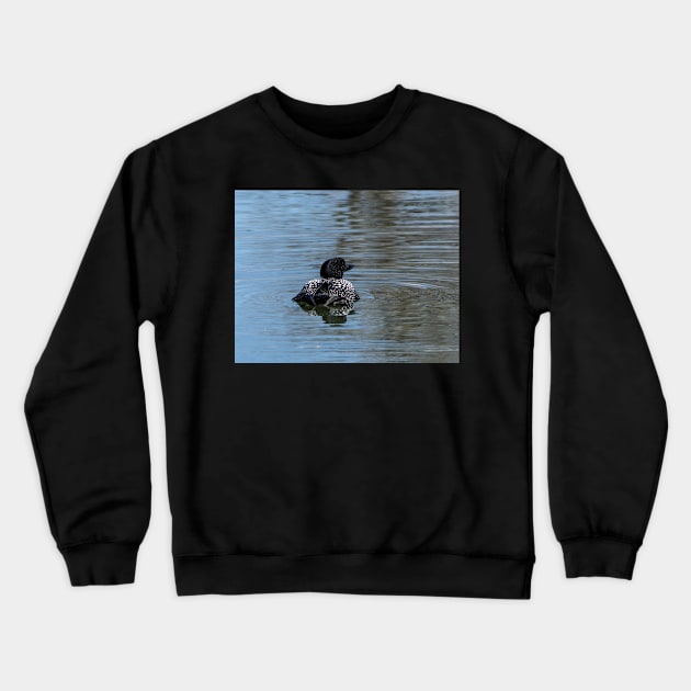 Loon on the water Crewneck Sweatshirt by CanadianWild418